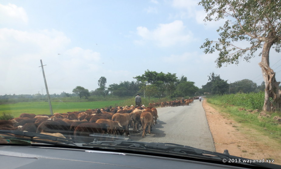 HD Kote road from Mysore.
