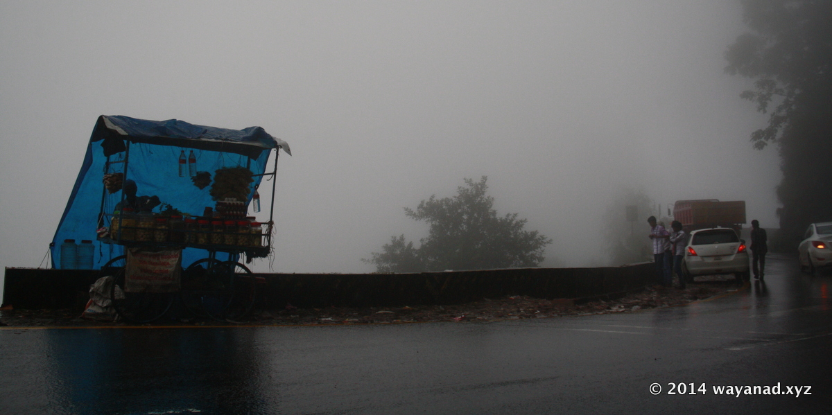 Located 700m above sea level at a peculiar fold in the western ghats, Lakkidi gets about 600cm rainfall annually, making it one of the highest rainfall region in Kerala.