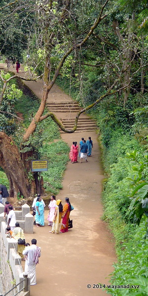 On the Way to Papanashini from Thirunelli Temple. Half the way is paved. Beyond this paved path , the access to Papanashini is through a boulder strewn forest trail. 