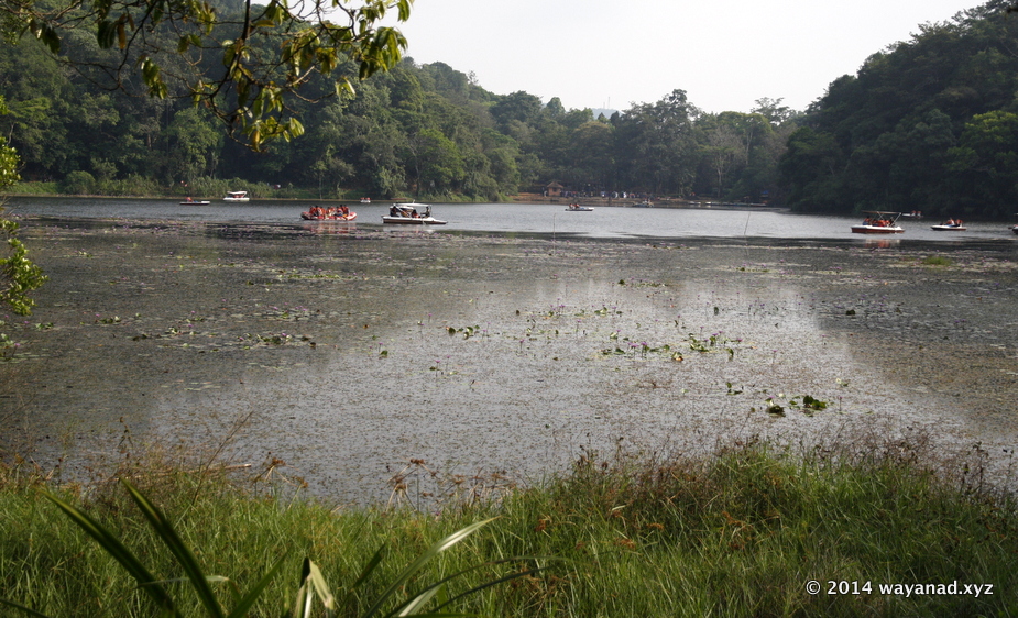 Pookode Lake in Wayanad