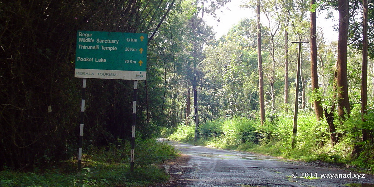Distances from Kerala border near Kutta. Begur WLS: 13km
Thirunelli Temple: 20km
Pookote Lake : 70km