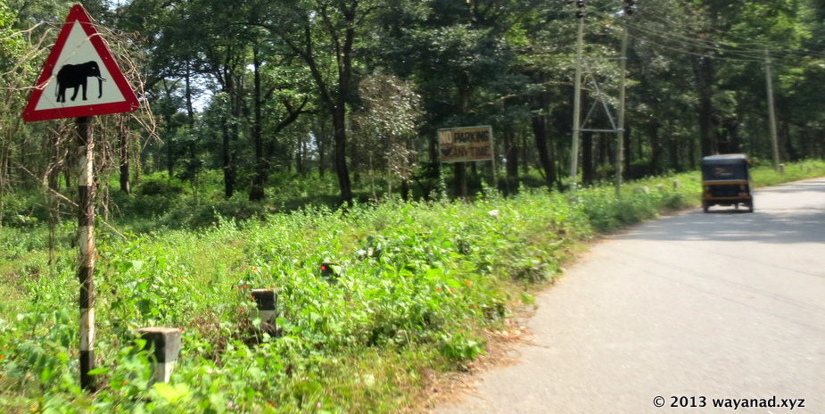 Road through Nagarhole National Park 